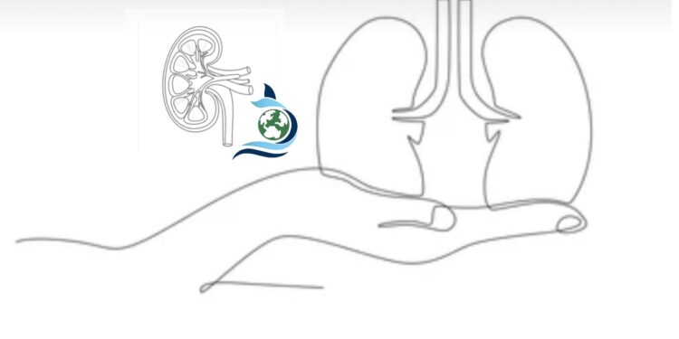 La enfermedad  Renal. Síntomas y prevención.