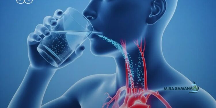 La mala hidratación una amenaza silenciosa con consecuencias visibles.