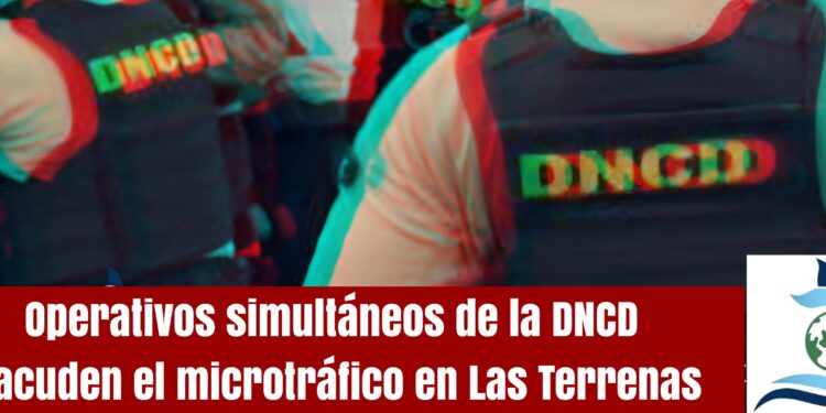 Operativos simultáneos de la DNCD sacuden el microtráfico en Las Terrenas
