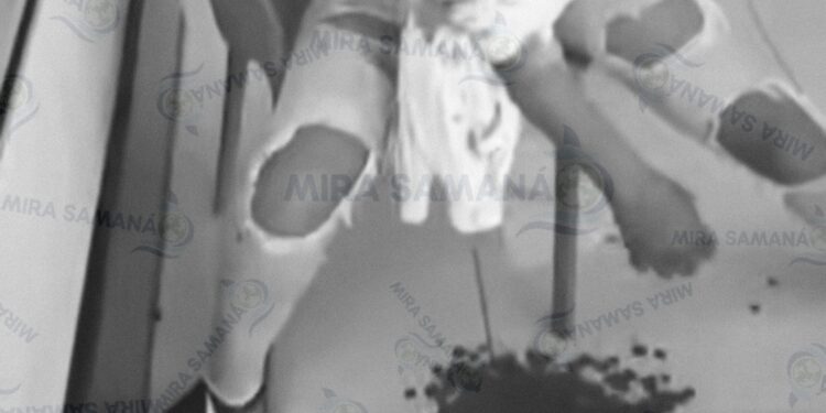 Violento incidente en tienda de Bávaro mujer desarma a vigilante y hiere a varias personas