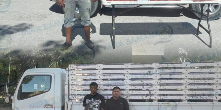 Operativos del Ejército» frustran traslado de cigarrillos ilícitos en el sur del país