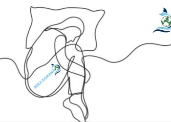 Dia mundial de la lucha contra la Depresión