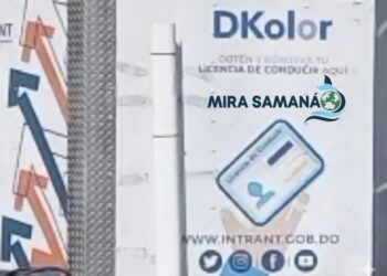 Atención Arroyo Barril y Samaná INTRANT renueva licencias esta semana
