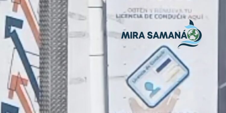Atención Arroyo Barril y Samaná INTRANT renueva licencias esta semana
