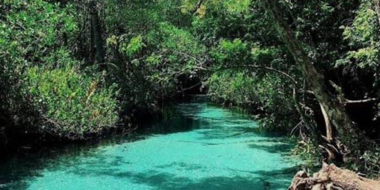 Día Mundial de los Humedales