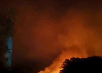 Controlan fuego forestal de gran magnitud en manglares de Las Terrenas