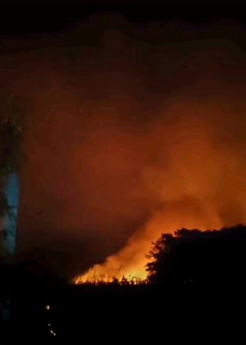 Controlan fuego forestal de gran magnitud en manglares de Las Terrenas