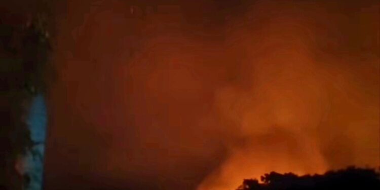 Controlan fuego forestal de gran magnitud en manglares de Las Terrenas