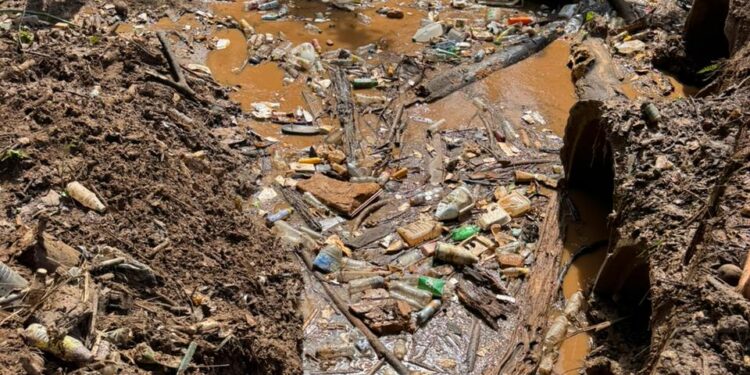 Bigentik Group se une a la Alcaldía de Las Terrenas en operativo de limpieza de ríos y cañadas