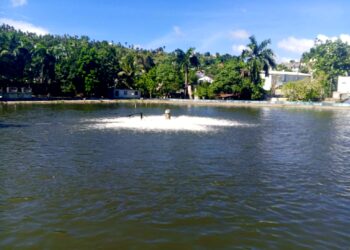 Nuevo muelle pesquero fortalece la actividad marítima en Sabana de la Mar