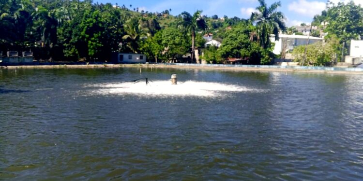 Nuevo muelle pesquero fortalece la actividad marítima en Sabana de la Mar