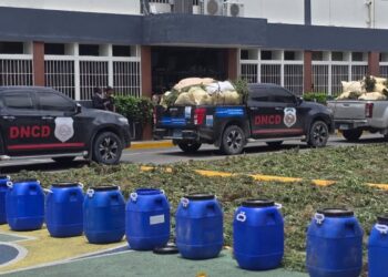 DNCD desmantela plantación de más de 3,000 plantas de presunta marihuana en El Pinar, Ocoa