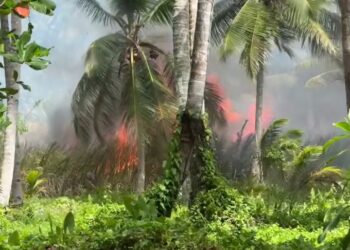 Controlan incendio forestal registrado en la zona de El Portillo, Las Terrenas