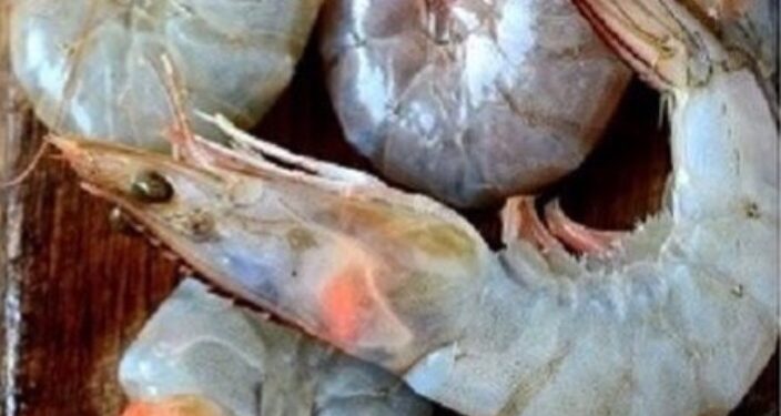 Sánchez celebrará el festival gastronómico «Saborea el Paraíso» los días 8 y 9 de agosto