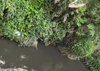 Inspección de Salud Pública determina origen de aguas residuales en Caño Seco