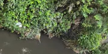 Inspección de Salud Pública determina origen de aguas residuales en Caño Seco