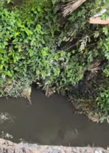 Inspección de Salud Pública determina origen de aguas residuales en Caño Seco