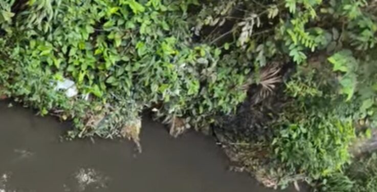 Inspección de Salud Pública determina origen de aguas residuales en Caño Seco