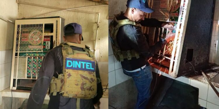 DINTEL realiza operativo en Las Terrenas y El Limón; reportan varias ocupaciones y detenido